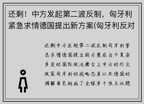 还剩！中方发起第二波反制，匈牙利紧急求情德国提出新方案(匈牙利反对派称若当选将终止中资计划)